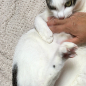 仁義なき戦いの画像