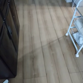 見張り番の画像