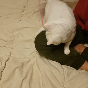 みんな遊ぶでぇのその１の画像