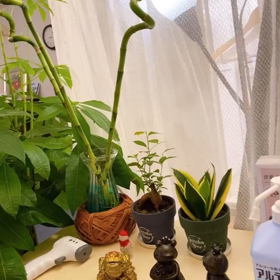 2021/08/28 これぞ、リモート内見（笑）の画像