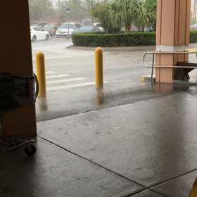 まさかの的中の画像