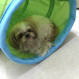 ♪プレイルーム動画♪③の画像