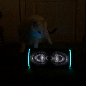 パーティーモードの画像