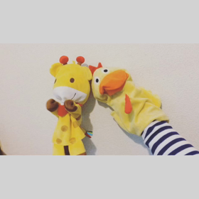 クマムシの画像