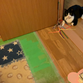 落ち着かないのは人間（笑）の画像