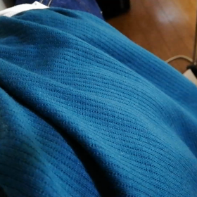 フクロモモンガの画像