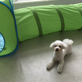 ♪プレイルーム動画♪①の画像