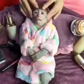 この記事の画像