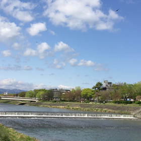 (・∀・)のどかな鴨川。の画像