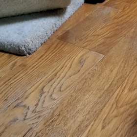 我が家の長老猫ナナちゃん(*^^*)の画像