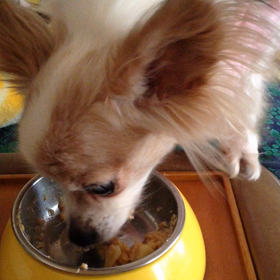 ホッカイロの画像