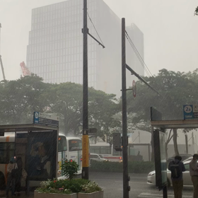 局地的なの画像