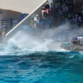 夏合宿36の画像