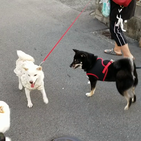 やっと再起動(ーー゛)の画像