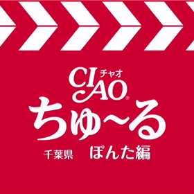 モカくんのチュール❤️の画像