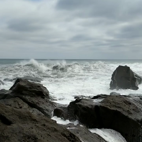 今回の台風も、嫌な予感がするぞ⁉️の画像
