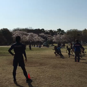 学年別インターバル(ゴール付近)⑪の画像