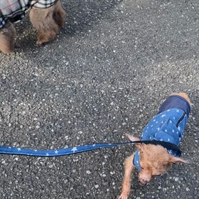 可愛い⁉︎の画像