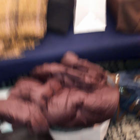 東京イベント2018の画像