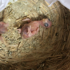 良かったの画像