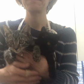 今日の面会はの画像