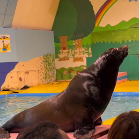 伊勢シーパラダイスの画像