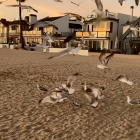 拡散‼️闇破壊オペレーション❗️変電所には枠珍成分「酸化グラフェン」を5Gに繋ぐ装置あり！の画像