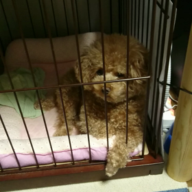 おはようの画像