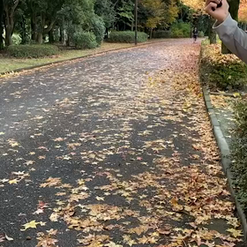 11月5日  1000m⑦の画像