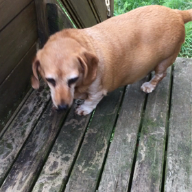 今朝はウィリー君登場‼️の画像