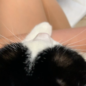 党首、圧迫排尿の画像