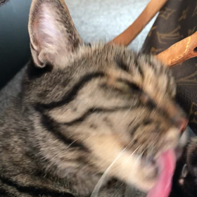 12月の皮膚科外来はショッキング〜！の画像