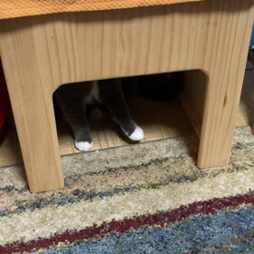 名ゴールキーパーの画像