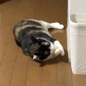 真夜中のひとり遊びの画像