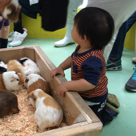 最新むすこ動画〜☆の画像