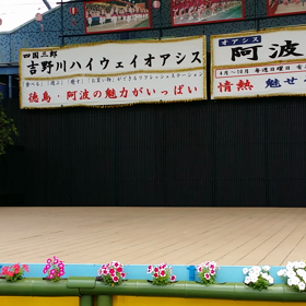 阿波おどり 6/28 もみじ連さん ムービー編 ③の画像