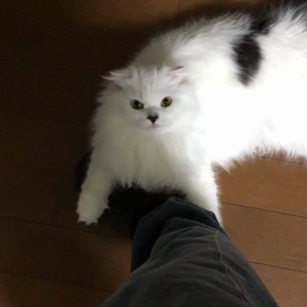 ホストファミリー。の画像