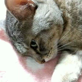 のそのその(  ｰ̀֊ｰ́ )✧(¯□¯ )の画像