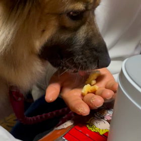 硬いとは誤算の画像