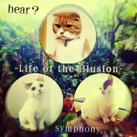 ♈< 命どぅ宝~/⚛️＼Life is the treasure >の画像