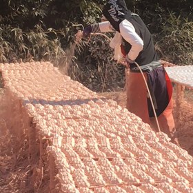 猪名川農業女子PJの画像