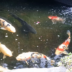我が地元には近づかなくて良かった台風！の画像