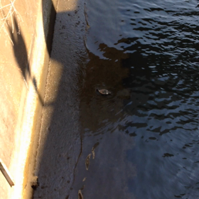 少し肌寒いけど・・・の画像