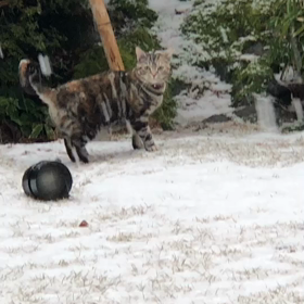 効果覿面の画像