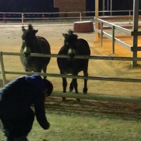 herbs island part 10の画像