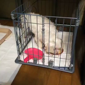 久しぶりにの画像