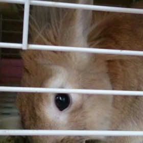 おはようございますの画像