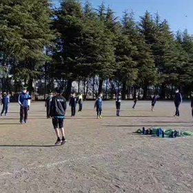 3/11 バランス⑦の画像