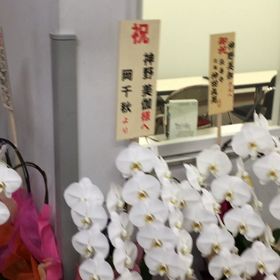 【スタッフ通信】沢山のお花ありがとうございます！の画像