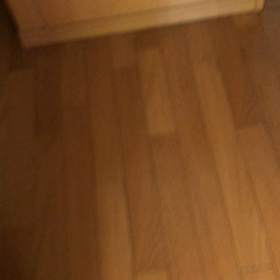 デールが孫を嫌う理由。やっとゆっくり出来るにゃ…の画像